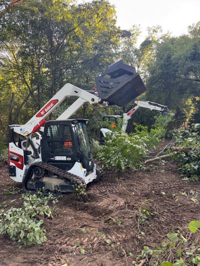 Bobcat T66 Skid Steer